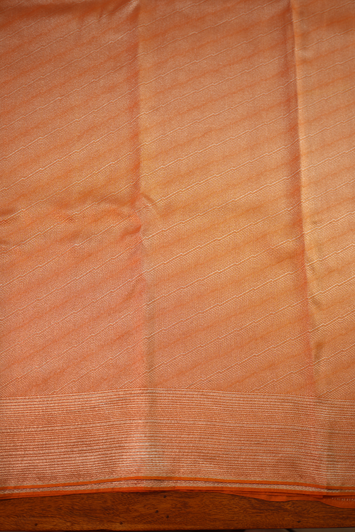 Champagne Gold Tissue Tussar Silk Saree — view 2