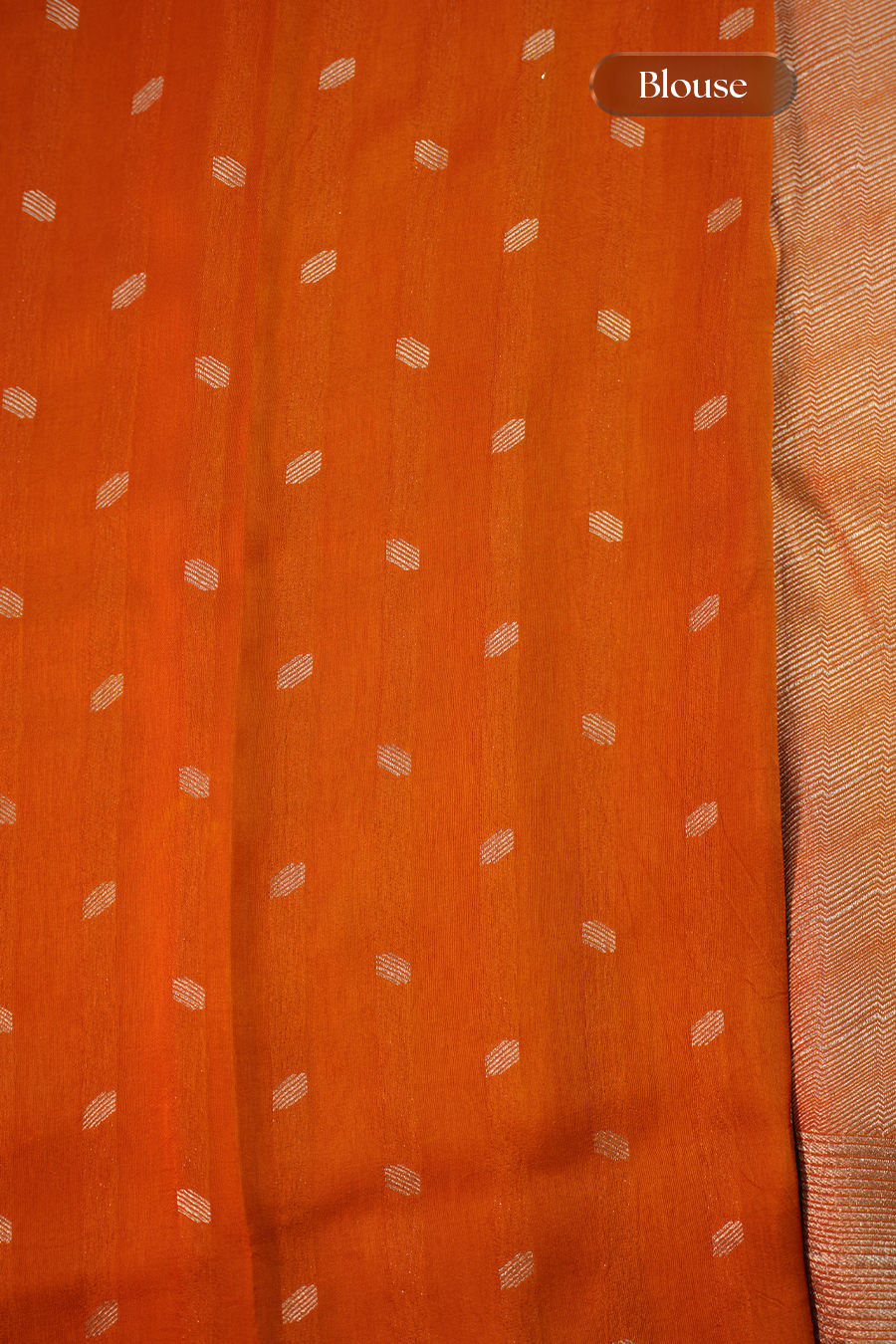 Champagne Gold Tissue Tussar Silk Saree — view 4