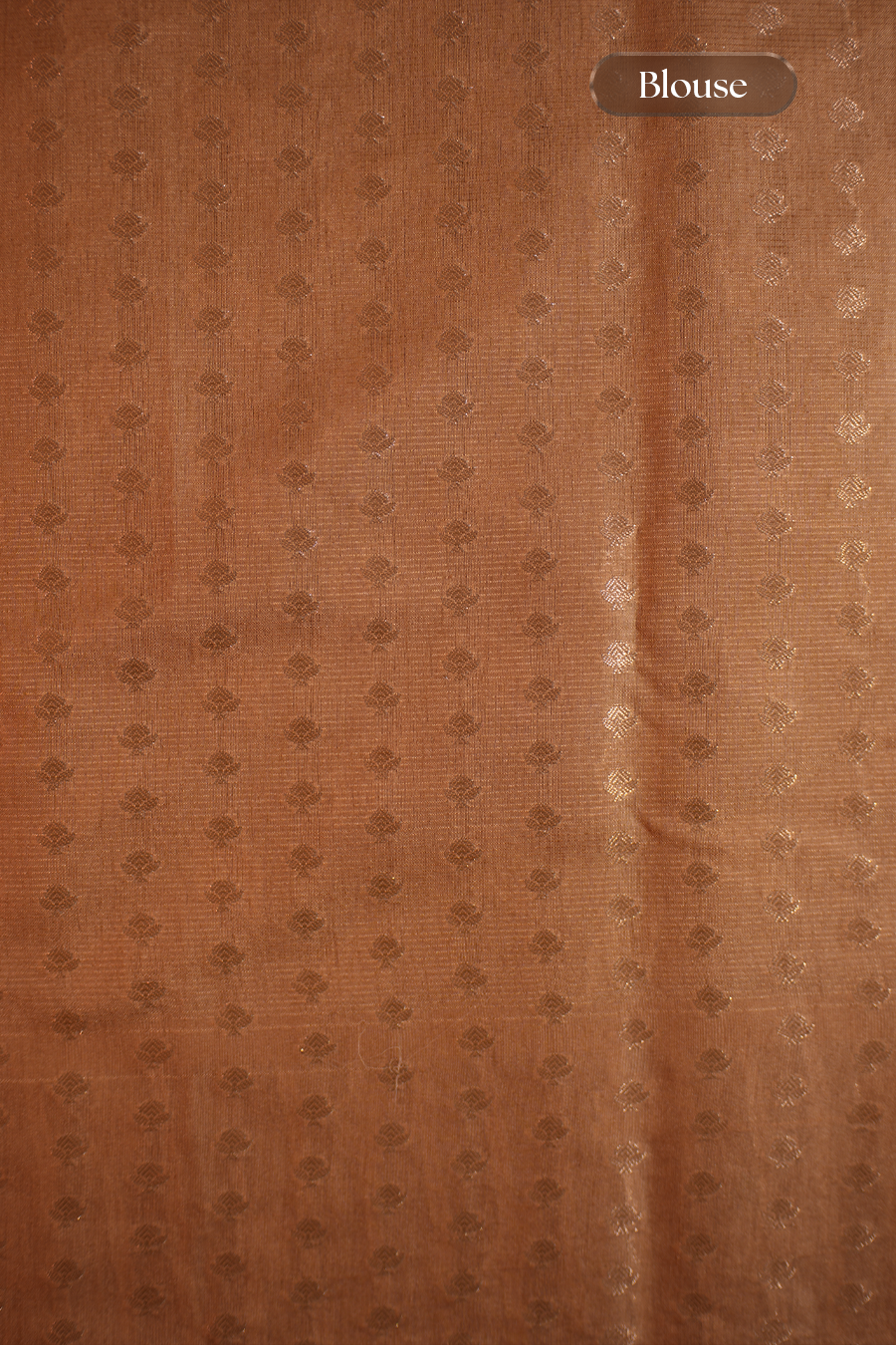 Champagne Beige Tussar Silk Saree — view 6